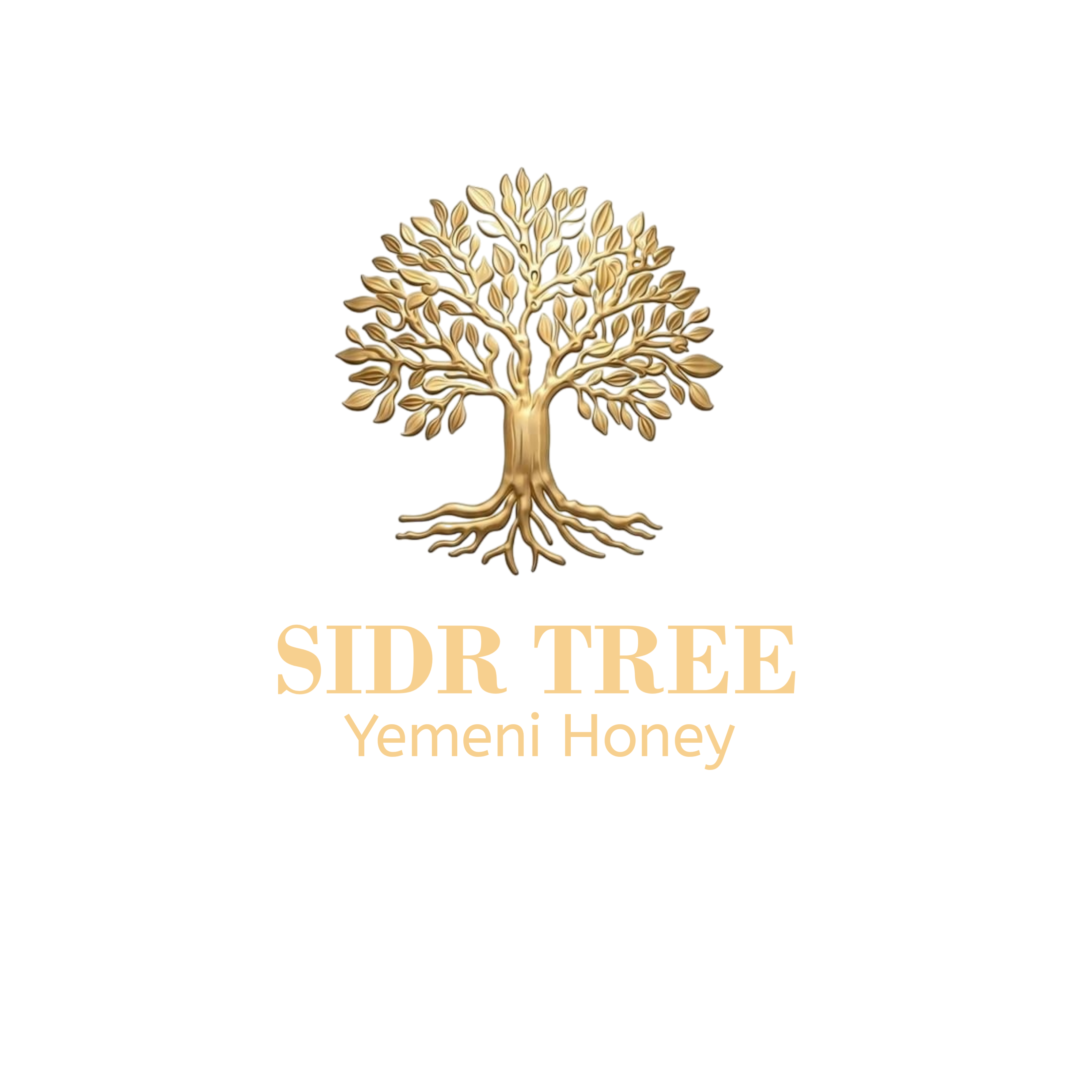 Sidr Tree Trading - Luxury Yemen Sidr Honey